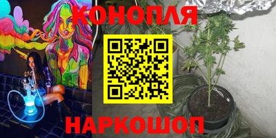 трава Новозыбков