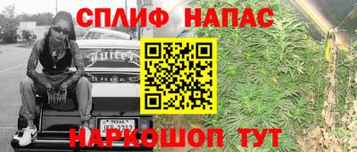 трава Новозыбков