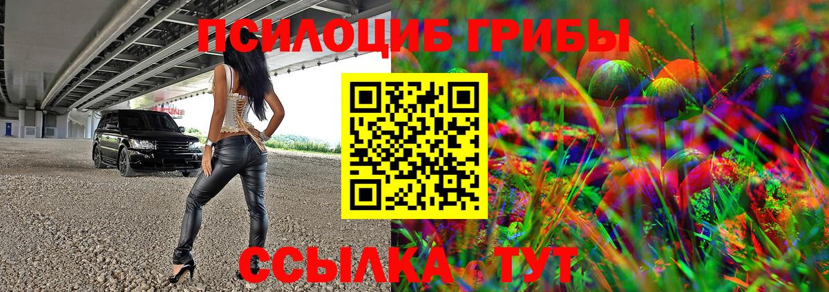 Псилоцибиновые грибы Magic Shrooms Торжок