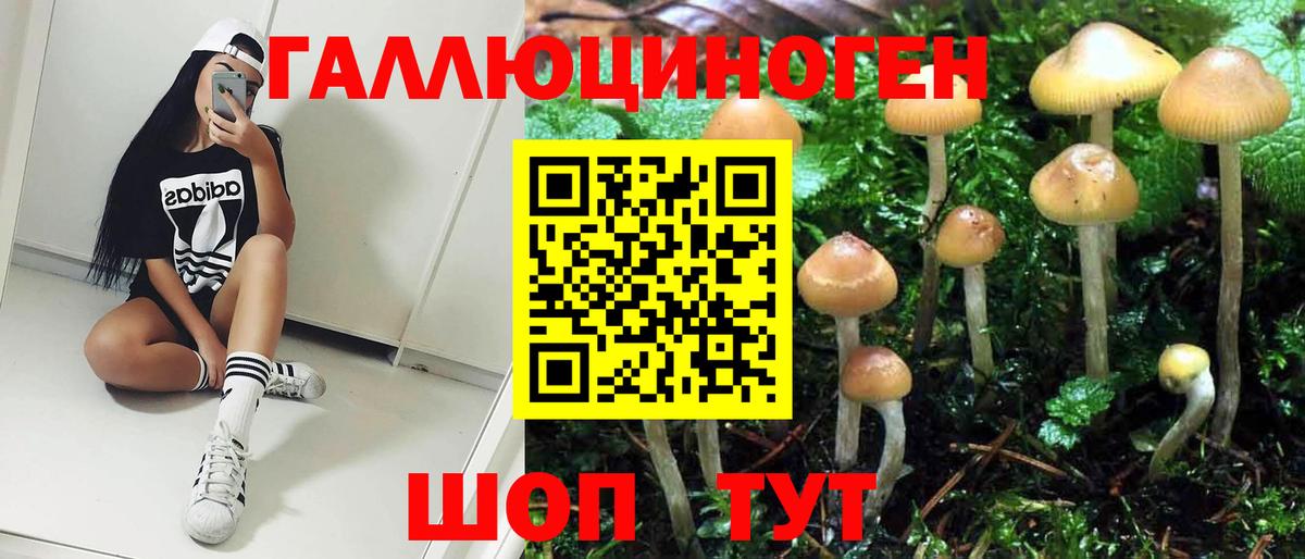 Псилоцибиновые грибы ЛСД  Вход с VPN  Торжок 